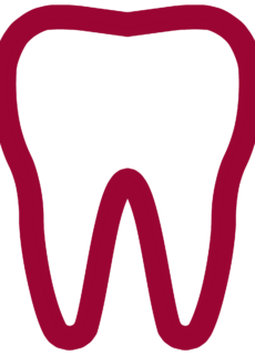 favicon favicon